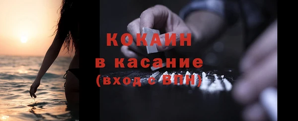 стафф Бородино
