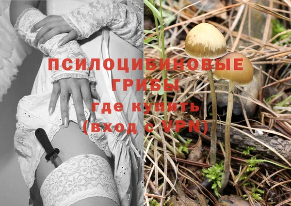 шишки Бугульма