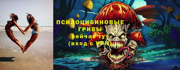 ПСИЛОЦИБИНОВЫЕ ГРИБЫ Бронницы