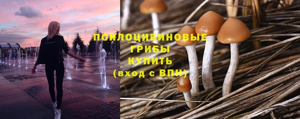 тгк Нефтекумск