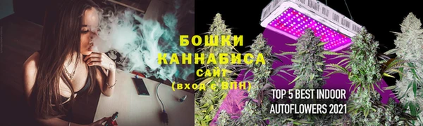 кокаин перу Богданович